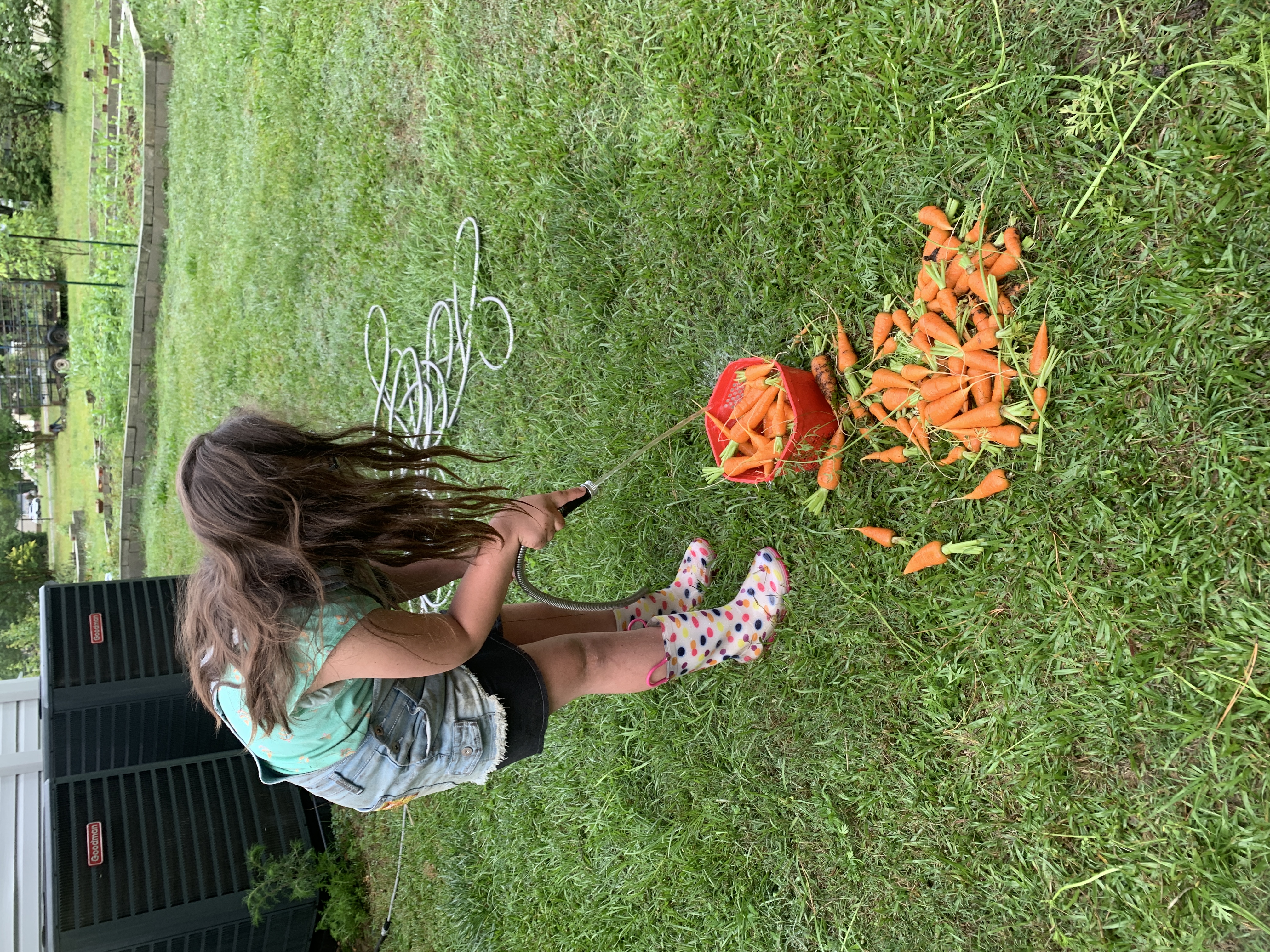 Garden Update
